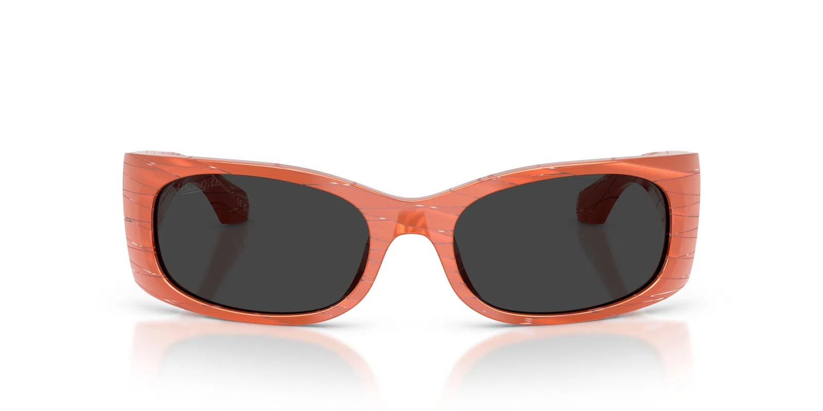 Alain Mikli 5509 Sunglasses - view 41